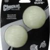 Chuckit! Max Glow Ball 2 Stuks (M) – Honden Speelgoed – Apporteren – Drijft Op Water – Stuitert – Veilig Voor Gebit – Honden Bal – Ideaal Met De Ballenwerper – Ø 7cm – Lichtgevend – Apporteerspeelgoed – Glow In The Dark