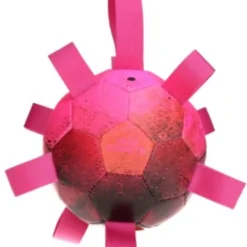 Dog Comets Hypernova Extreem Sterke Hondenbal – Gemaakt Van Drie Lagen – Gebruiksvriendelijk Hondenspeeltje – Drijvende Hondenbal Met Lussen – Geschikt Voor (middelgrote) Honden – Roze