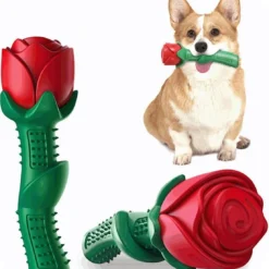 TDR – Bijtspeelgoed Voor Honden – Goed Voor Tanden – Niet Giftig En Duurzaam TPE -vorm Van Een Roos