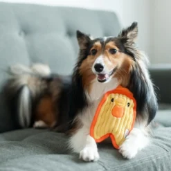 Stevige Knuffel Voor Kleine Honden Met Jumbo Pieper – Outward Hound Invincibles – Chicky Geel / Penguin Blauw Of Puppy Bruin – Chicky Geel