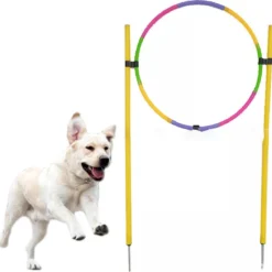 Agility Voor De Hond – Hoepel Springen – Honden Training -Slalom Hond Trainen – Behendigheid Spel