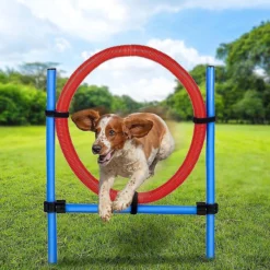 Dog Jump Ring Set. Honden Jump Ring Set. 85 Cm.