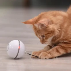 Smarty Rollende Bal Kat | Kattenspeeltjes Bal Wit | Speelgoed Kat En Hond | Led En USB Oplaadbaar | Zelf Rollende Bal Voor Katten