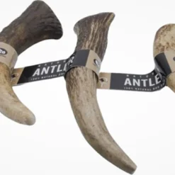 Aerend – Hondenkauwspeeltje – Honden Speelgoed – Kauwspeelgoed – Natuurlijk – 100% Antler Premium – Langdurig, Hertengewei, Roodhert Elk – Rijk Aan Eiwit En Calcium – S – 10-12 Cm – 3 Stuks