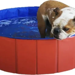 Zwembadje Voor Kinderen En Huisdieren – Hondenzwembad – Hondenbad – Bad Voor Honden, Huisdieren – Opzetzwembad – 30×10