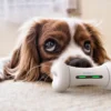 Wickedbone Smart Honden Bot Telefoon App Controle Huisdier Emotionele Interactie Bot Huisdier Emoties Speelgoed Voor Honden