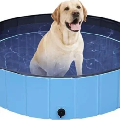 Dog Pool | Zwembad Voor Honden | Hondenzwembad | Opvouwbaar | Puppy | Kitten |Kat | Huisdier | Blauw