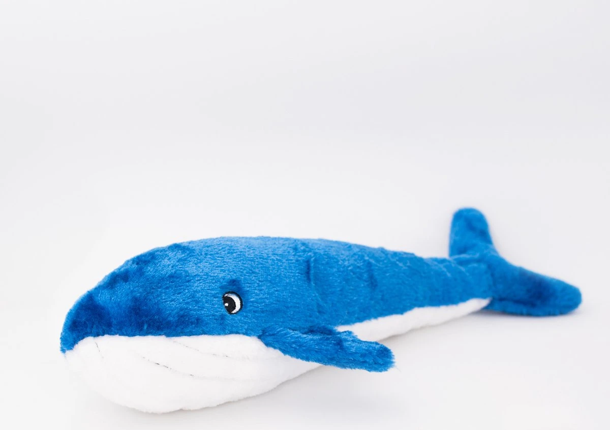Zippy Paws ZP991 Jigglerz® – Blue Whale – Speelgoed Voor Dieren – Honden Speelgoed – Honden Knuffel – Honden Speeltje – Honden Speelgoed Knuffel – Hondenspeelgoed Piep – Hondenspeelgoed Bijten 1 Zippy Paws ZP991 Jigglerz® – Blue Whale – Speelgoed Voor Dieren – Honden Speelgoed – Honden Knuffel – Honden Speeltje – Honden Speelgoed Knuffel – Hondenspeelgoed Piep – Hondenspeelgoed Bijten