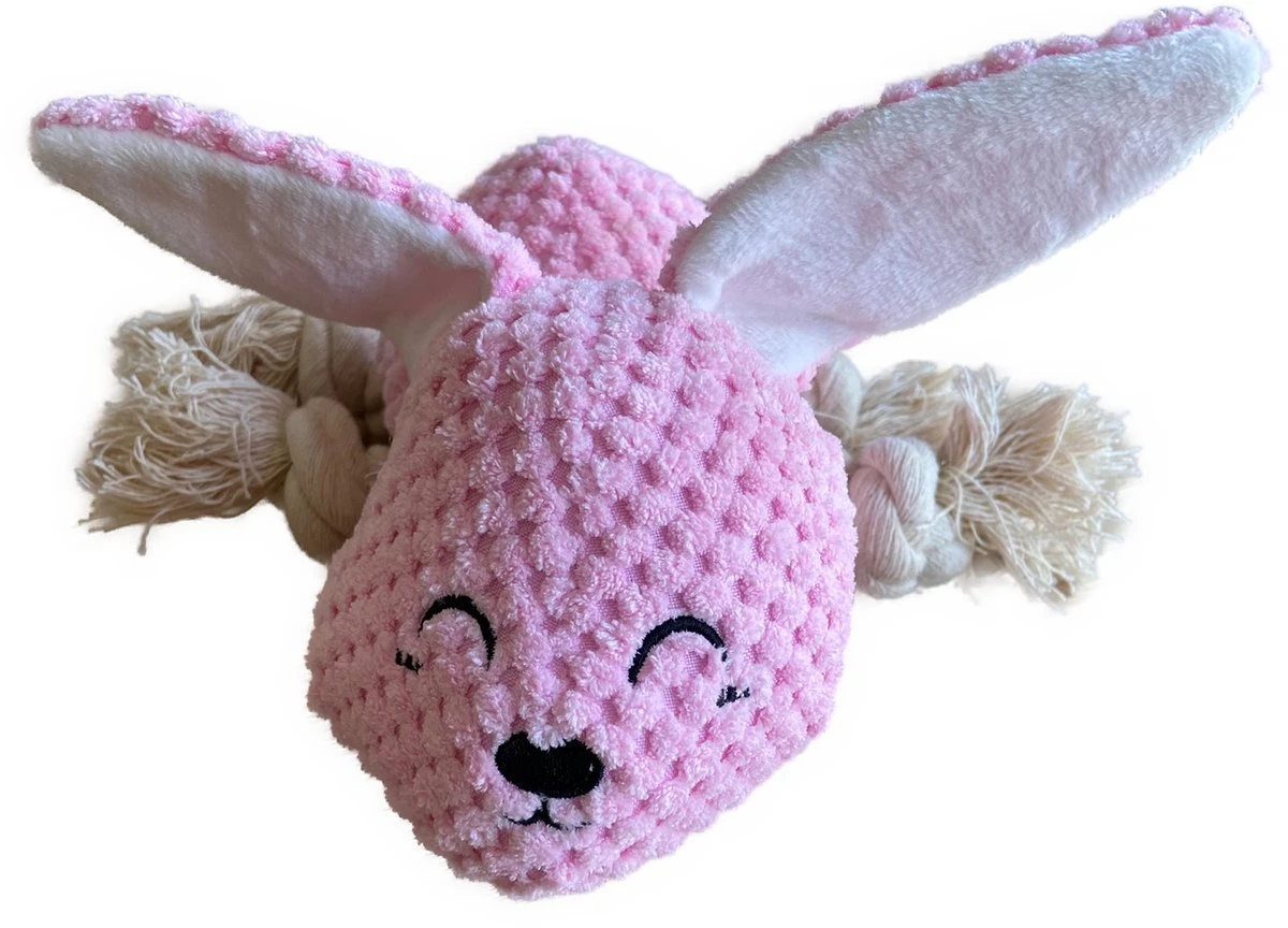 BoDutch Honden Knuffel – Konijn – Puppyknuffel – Flostouw – Knisperoortjes – Met Piep – Roze – 21 Cm – Hondenspeelgoed 1 BoDutch Honden Knuffel – Konijn – Puppyknuffel – Flostouw – Knisperoortjes – Met Piep – Roze – 21 Cm – Hondenspeelgoed
