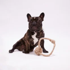 Bal Met Handvat – Gemaakt Van Henneptouw- Maat S – 100% Natuurlijk – Duurzaam – Ecologisch En Veilig Speelgoed Voor Je Hond – Handgemaakt In De EU