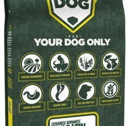 Ciobanesc Romanesc Carpatin