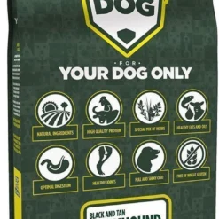 Black And Tan Coonhound