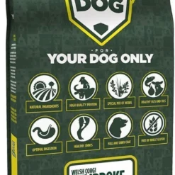 Welsh Corgi Pembroke