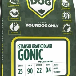 Yourdog Istarski Kratkodlaki Gonic Volwassen (3 KG)