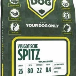 Yourdog Visigotische Spitz Volwassen