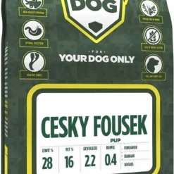 Cesky Fousek