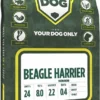 Beagle Harrier