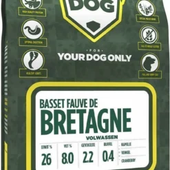 Basset Fauve De Bretagne