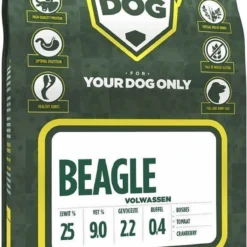 Beagle