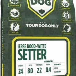 Ierse Rood-witte Setter