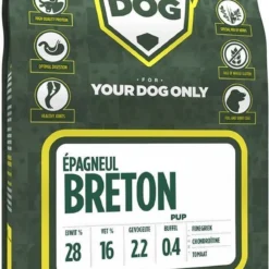 Epagneul Breton