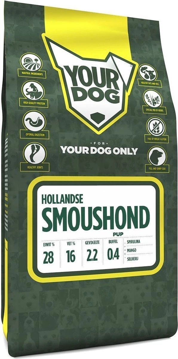 Hollandse Smoushond 1 Hollandse Smoushond