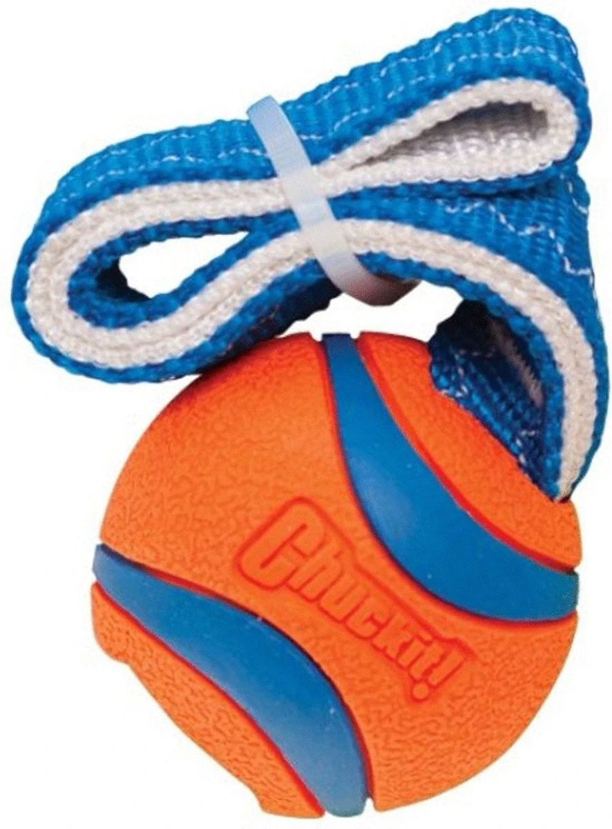 Chuckit! Chuckit Ultra Tug – Honden Apporteerspeelgoed – Honden Bal Small ø5cm – Geschikt Voor Middelgrote Honden – Drijft Op Water – Oranje/Blauw 1 Chuckit! Chuckit Ultra Tug – Honden Apporteerspeelgoed – Honden Bal Small ø5cm – Geschikt Voor Middelgrote Honden – Drijft Op Water – Oranje/Blauw