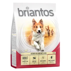 Briantos Adult Kip & Rijst Hondenvoer – Voordeelpakket: 4 X 1 Kg
